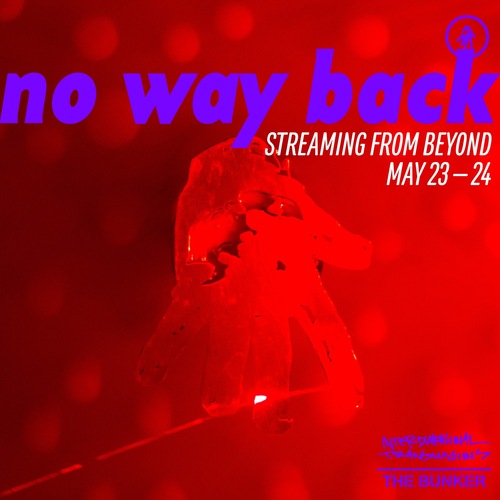 Nwb_streaming_from_beyond_preflyer